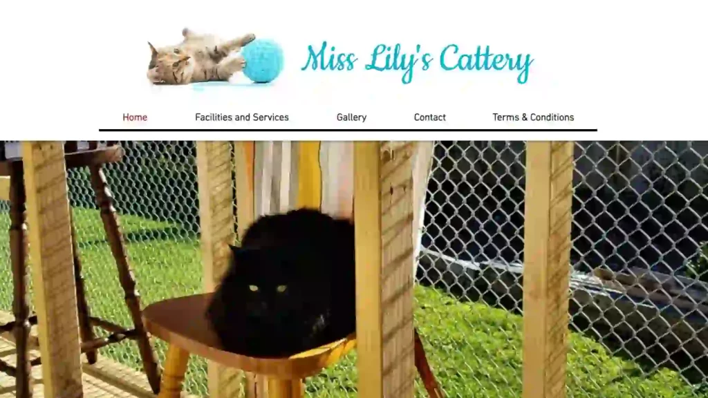 Miss Lily's Cattery