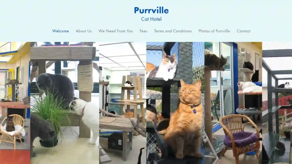 Purrville Cat Hotel