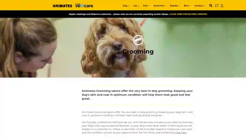 Animates Grooming