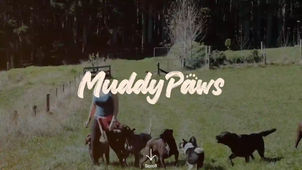 Muddy Paws