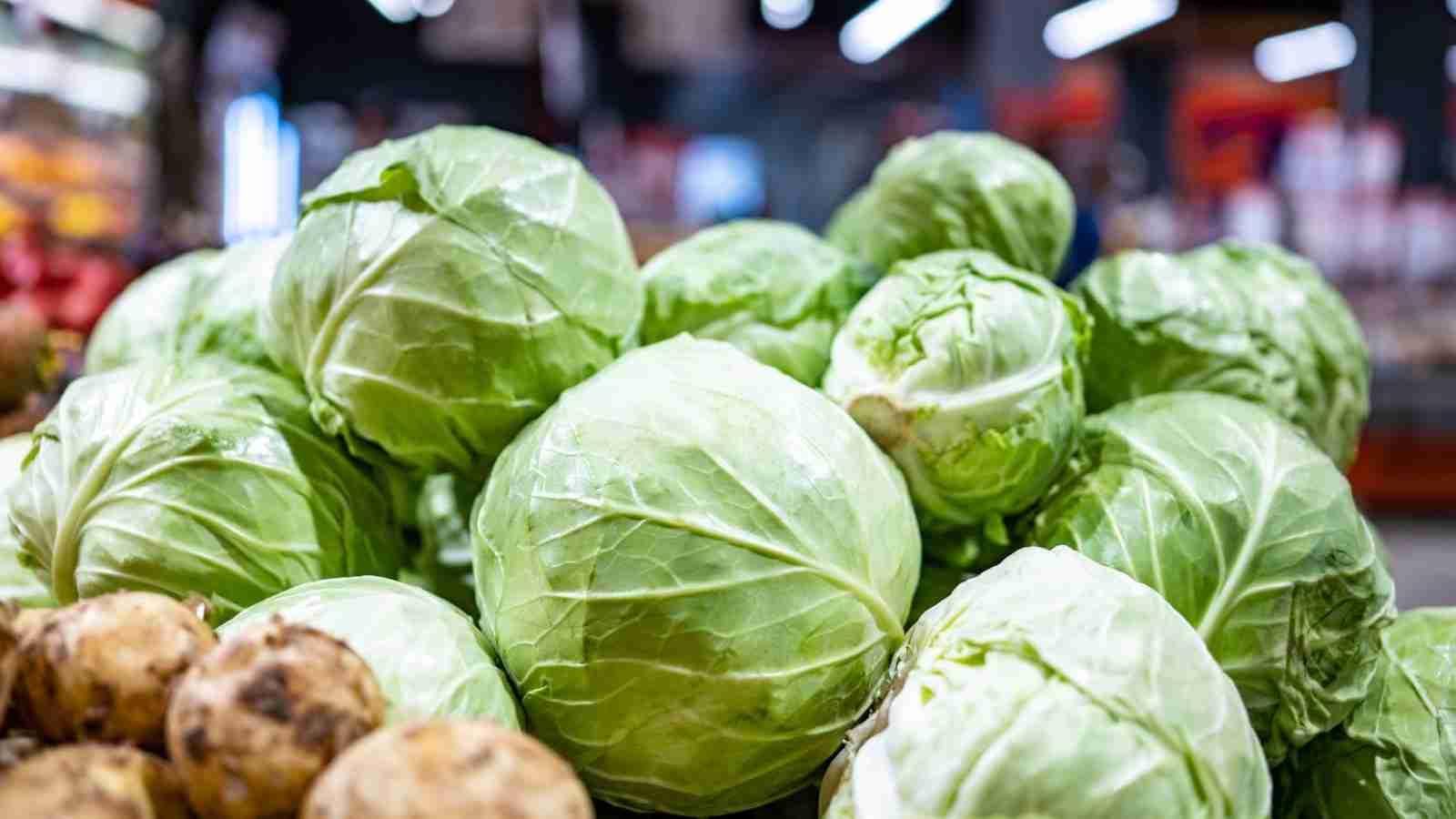 Best Indian Grocers in Auckland